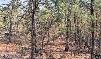 10 Acres County Road C, Arkdale, WI 54613