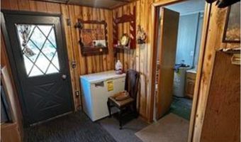 6002 Wildwood, Alger, MI 48610