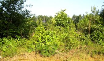 263 LR 182, Ashdown, AR 71822