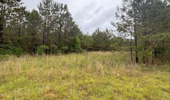 0 Pebble Cove Rd, Abbeville, AL 36310