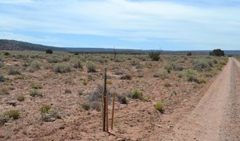 N8577 18, Concho, AZ 85924
