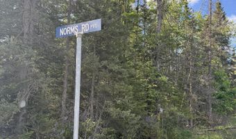 50 Acres Herron Rd, Alpena, MI 49707