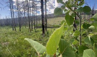 2493 Greer Rd, Bellvue, CO 80512