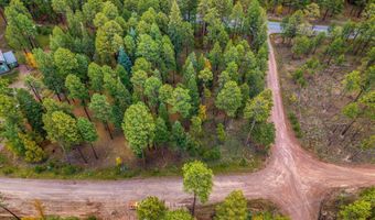 COUNTY ROAD 2196, Alpine, AZ 85920