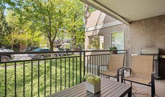 800 E Hopkins Ave A-3, Aspen, CO 81611