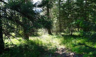 Nka Meadowland Drive, Blanchard, ID 83804