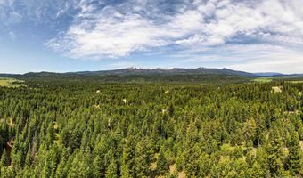 Carol Court lot 14 Block 3, Cascade, ID 83611