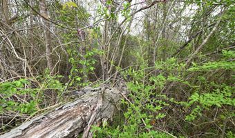 11 Th Ave, Alexander City, AL 35010