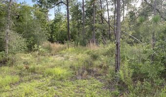 Putnam Avenue lot 31, Alford, FL 32420