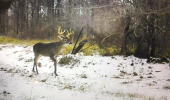 001 Farr Rd, Bolton, MS 39041