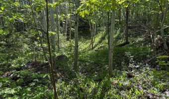 Gratiot River Road lot A, Allouez, MI 49805