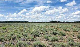 Maple Way lot 4, Bly, OR 97622