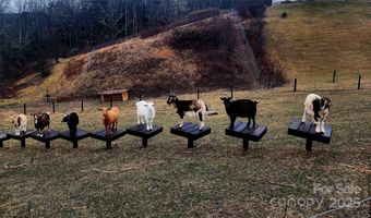 150 Old Macedonia Rd, Asheville, NC 28804