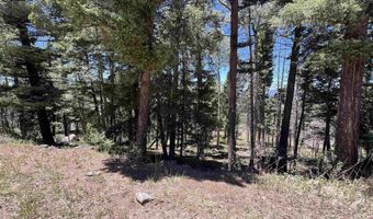 Rainbow Overlook Lot 1229RE Amended A, Angel Fire, NM 87710