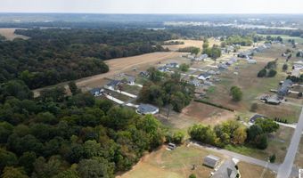 445 John Purdom Dr, Almo, KY 42020