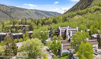 800 S Mill St 6A, Aspen, CO 81611