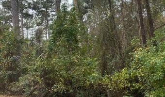 Starling Rd lot 129, Americus, GA 31719