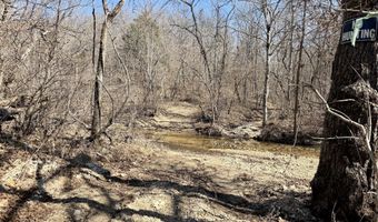 Rt 1 County Rd 14-531, Ava, MO 65608