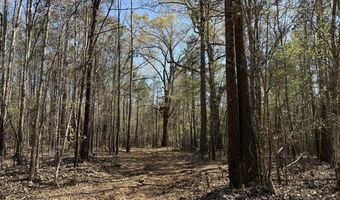 0 Markham Road Tract 4, Bradley, SC 29819