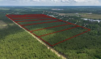 Tract 12 Sanderling, Alma, GA 31510