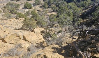 4 County Rd, Concho, AZ 85924