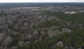 U.S. Highway 51, Bogue Chitto, MS 39629
