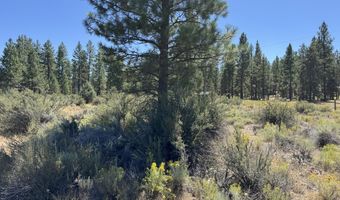 Bufflehead Drive 18, Bonanza, OR 97623
