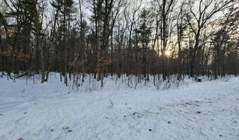 L59 Badger Court lot 59, Arkdale, WI 54613