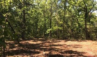 0000 County Road 4307, De Kalb, TX 75559
