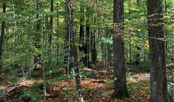9822 Culver Brook Rd, Alder Creek, NY 13309