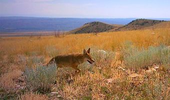 Nhn Ruby Creek Road 946-18, Belfry, MT 59008