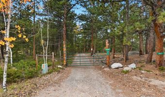 437 County Road 84 W, Allenspark, CO 80510