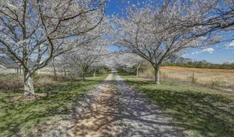 2280 Solitude Rd, Albertville, AL 35950