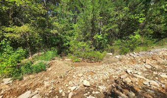 Strawberry Valley Road, Ash Flat, AR 72513