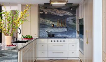 500 W Smuggler St, Aspen, CO 81611