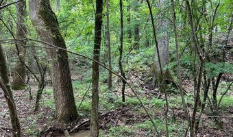 Sardis Lake Drive, Batesville, MS 38655
