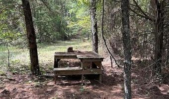 0000 Cr-3401, De Kalb, TX 75559