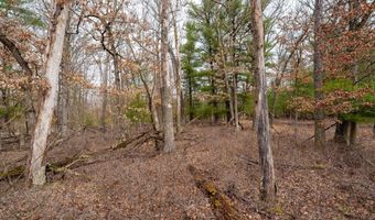 Dover Drive lot 1 14 Ac, Adams, WI 53910