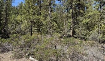 Horned Owl Lane, Bonanza, OR 97623