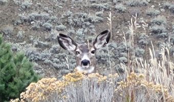 456 Boulder Frontage Rd, Boulder, MT 59632
