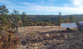 605 PINE CREEK Rd, Bickleton, WA 99322