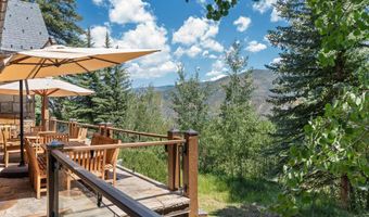 691 Pfister Dr, Aspen, CO 81611