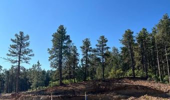 8719 Ponderosa Pine Dr, Beulah, CO 81023