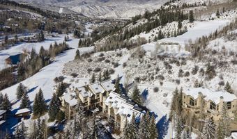 83 Offerson Rd 8, Beaver Creek, CO 81620