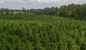 Copeland Ridge Road, Arkadelphia, AR 71923