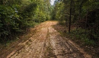 0 Brooksie Thompson Rd, Bath Springs, TN 38311