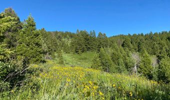 400 GROVER DRY FARM Rd, Afton, WY 83110