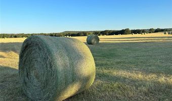 600 Wilson Bend Rd, Millsap, TX 76066