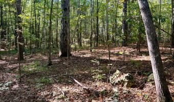 0 Lloyd Mill Rd, Andalusia, AL 36421