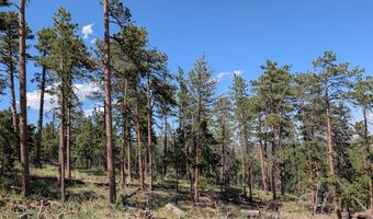 Old Camp Rd, Bellvue, CO 80512